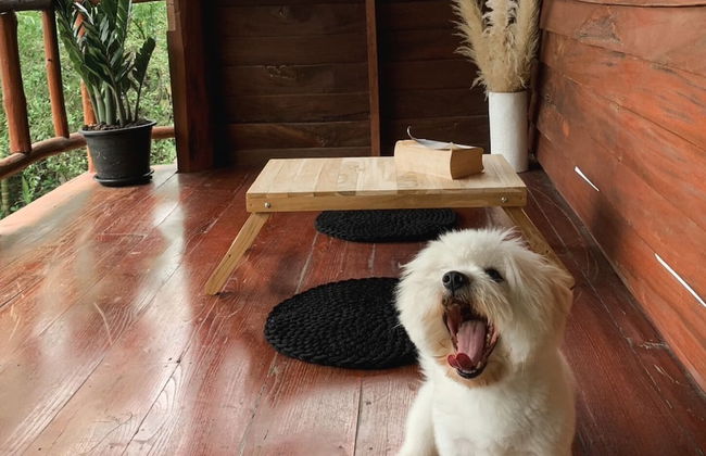 Paddy Fields Haven - Natures Nest Pai - Foto 14