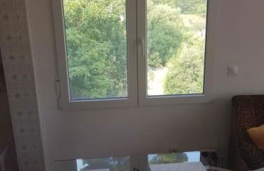 Casa Zorro - Photo 3