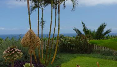 El Susurro Ecoliving_VILLA PARDELA - Foto 3