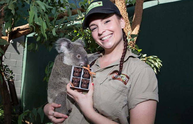 WILD LIFE Sydney Entrance Ticket - Foto 5