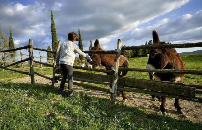 Verdidea - Il Tinaio - Foto 56