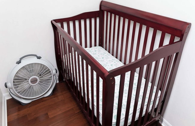 New Ownership 7BR Close to Disney - Foto 38