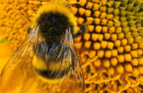 Apartament Jerzyn - Foto 38