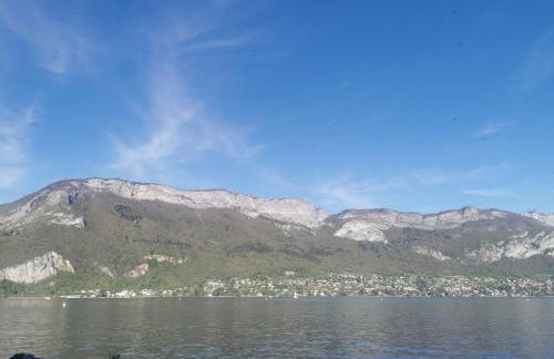 Charmant appartement à 1 minute du lac - Foto 40