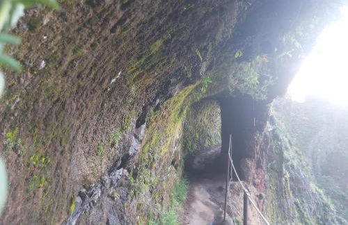 Desertas View Apartment - Foto 41