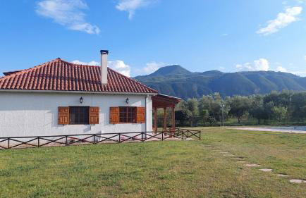 Johnny Jo Villa - Photo 37