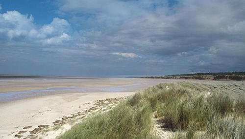 Beekeeper's Cottage - Foto 2