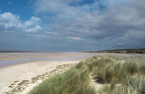 Beekeeper's Cottage - Foto 2