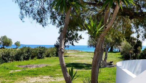 Villa Memories - Foto 3, Garden