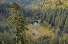 Ferienwohnung Heide - Foto 24