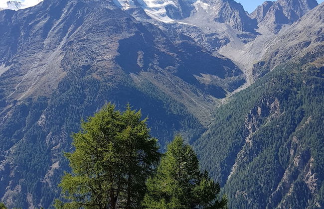 Apartments Saasunia - Foto 25