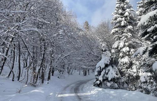 Rustic Sundance cabin sleeps 13 hottub firepits - Foto 58