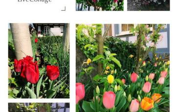 Privat Apartment- Near Strasbourg, Baden Baden - Foto 22