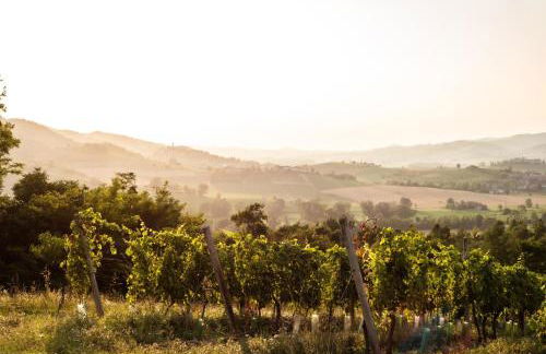 TENUTA MONVILLONE COUNTRY HOUSE & RESTAURANT - Foto 79