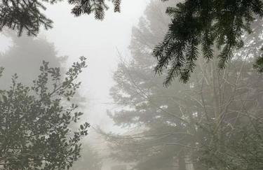 Forest cottage top of the world - Foto 41