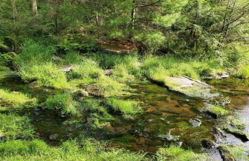 Little Birds Treehouse - Foto 6