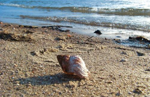 Doppelhaushaelfte, Twietfort - Foto 21