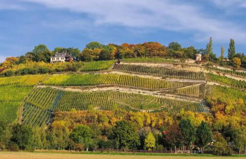 Apartmenthaus Schlag - Foto 11