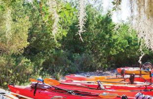 Cozy Retreat pvt rm Close To Siesta Keys J3A shared home - Foto 31