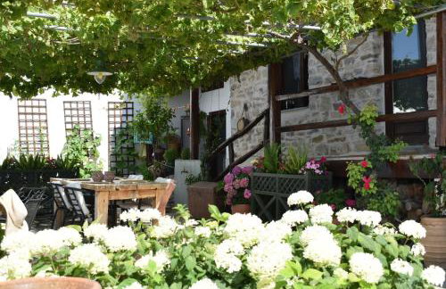 Μακρινίτσα Αλώνια - Foto 22