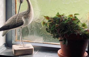 Woodend Cottage - Foto 46