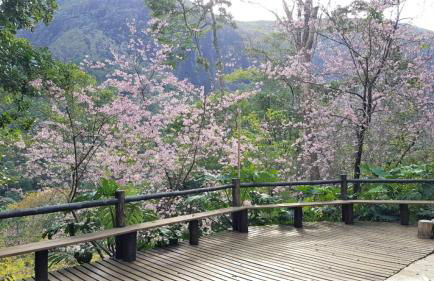 Tékinfin, você chegou! Lindo sítio em Secretário! - Foto 57