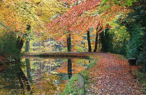 Our Home from Home in the heart of Abergavenny - Foto 39