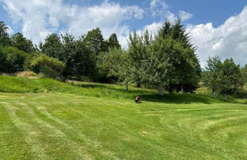 Dom Pod Dębem Agroturystyka - Foto 56