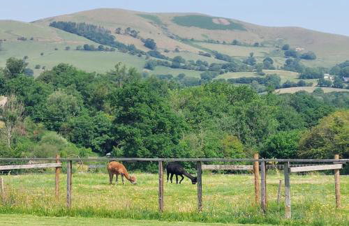Deer Cabin-hot tub-dog friendly-mountain view - Foto 34