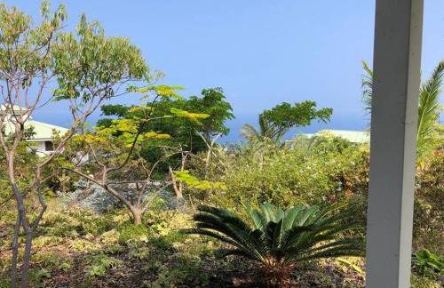 The Pineapple Express Hot Tub Volcano 65 Mi Away - Foto 9