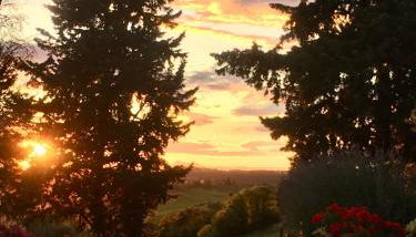 Case Nell' Aia - Foto 3, Garden