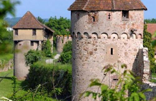 L'Altenberg - Foto 15