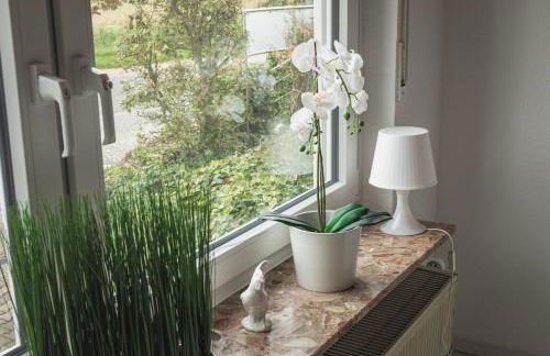 Pension Nickel Ferienwohnung EG Am Holzlachgraben - Foto 3