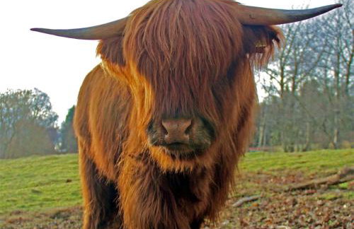 2 Bed in Birnam Dunkeld oc-ca266 - Foto 14