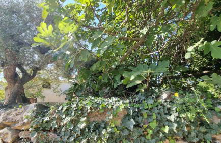 Les Valletes - Foto 22