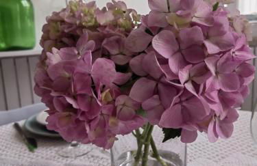 Casinha do Chico - Foto 45