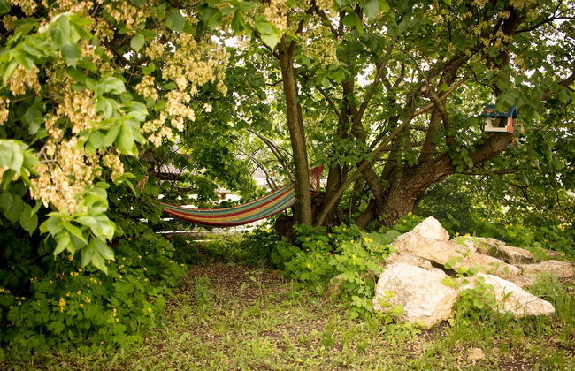 Teply khutor - Photo 31