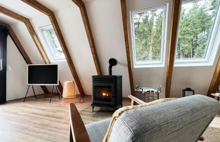 Design Chalet Vulkaneifel - Foto 2