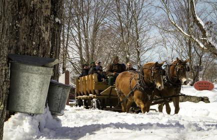 Experience the Rocks Estate like never before with a stay at the Gardeners Cottage! - Foto 49