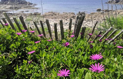 La Maison de la Mer - Foto 19