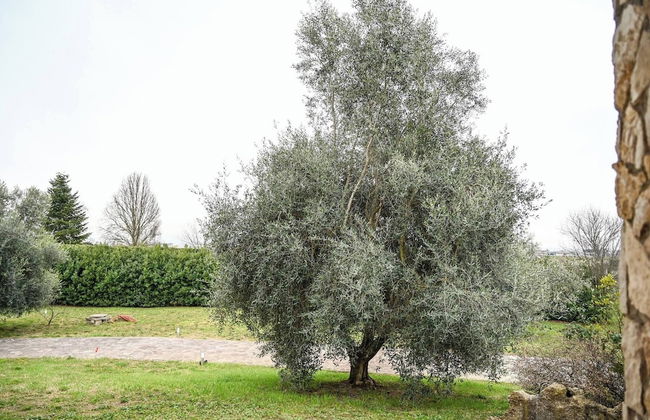 Nel verde, a mezz'ora dal centro di Roma - Photo 54