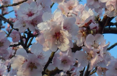 Loblocher Max und Moritz - Foto 19