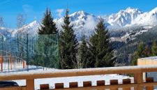 Les Gentianes - Photo 4