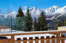 Les Gentianes - Photo 4