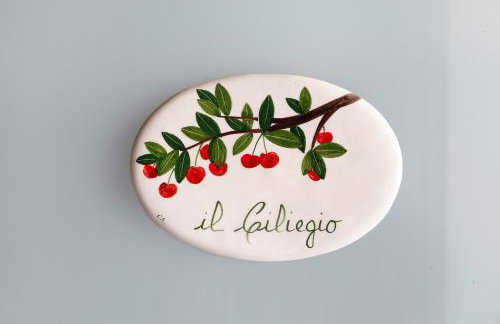 Ciliegio Agriturismo La Ferla - Foto 8