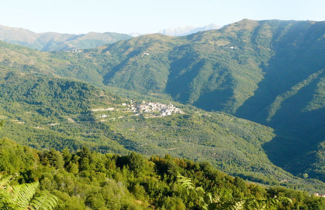 Serena (COX100) - Foto 12