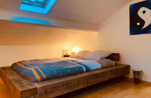 House de la Canopée, Swimming pool, Lake, Forest, large garden and WIFI - Foto 10