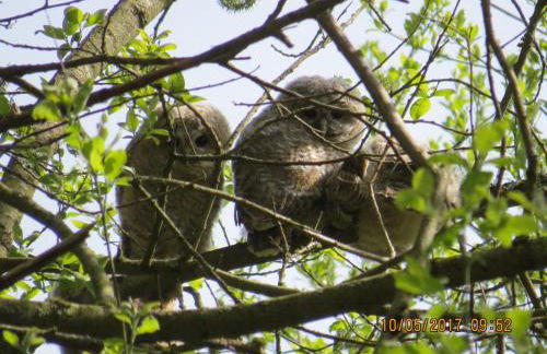 Ferienwohnung Rhönbergblick - Foto 34