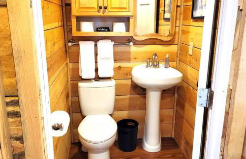 Sequoia Splendor, inside Kings Canyon NP by Visitors Center - Foto 58