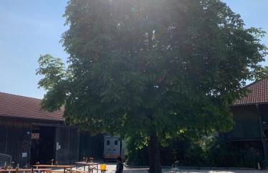 Reitschule Kronwitter - Foto 7